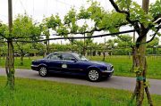 Le Jaguar nella zona del Prosecco e Cartize (81/152)